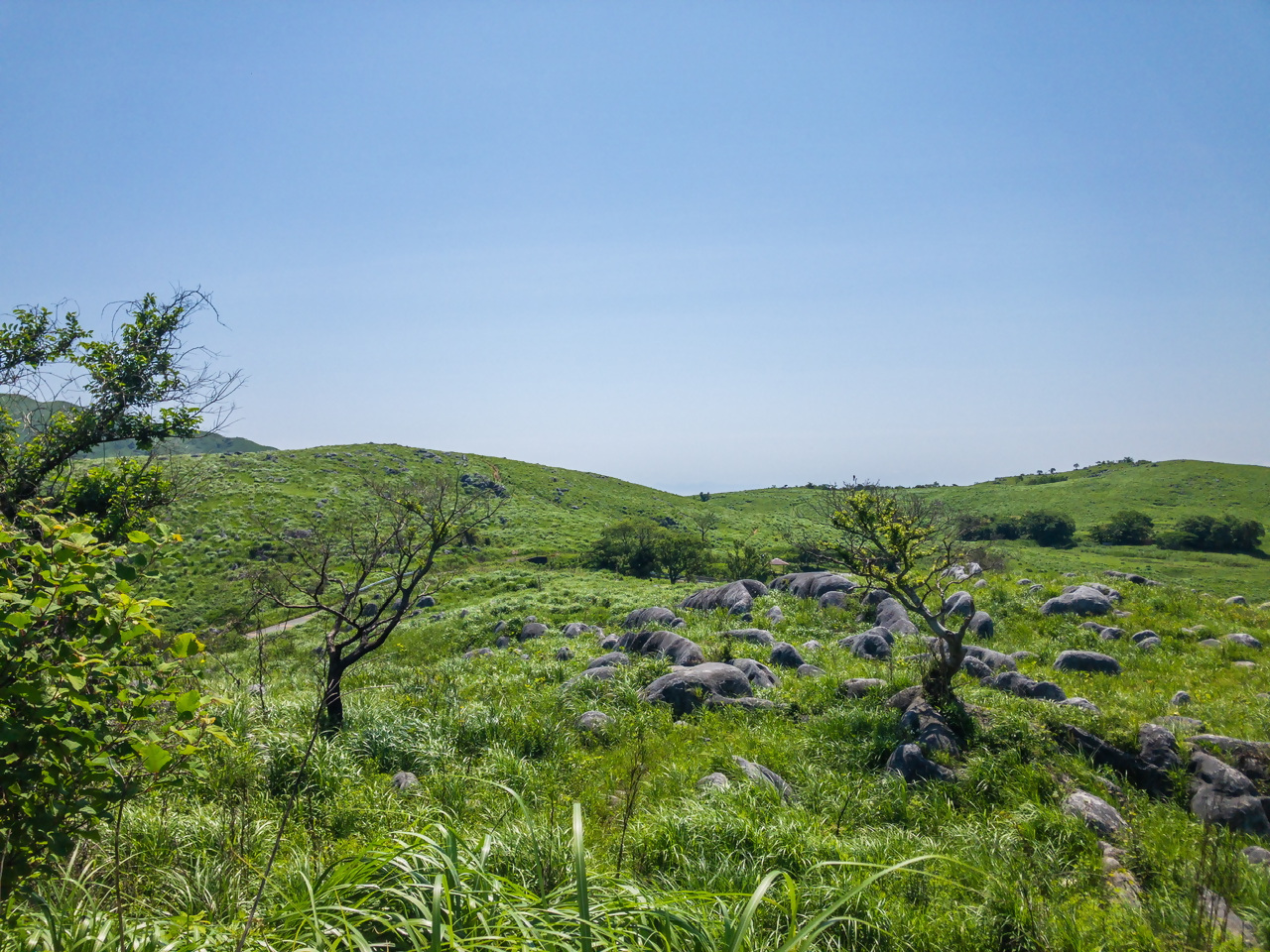 平尾台2の写真3