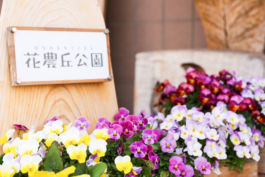 花農丘公園　総合農事センターの写真3