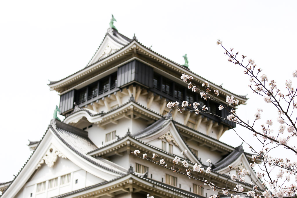 小倉城　桜の写真15