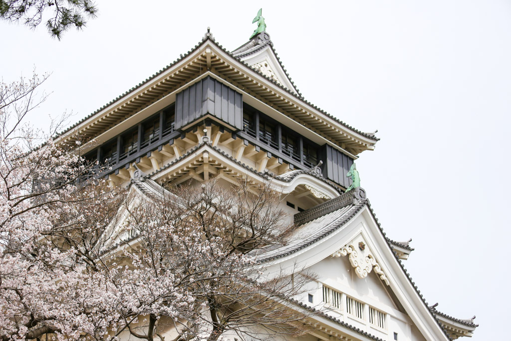 小倉城　桜の写真16