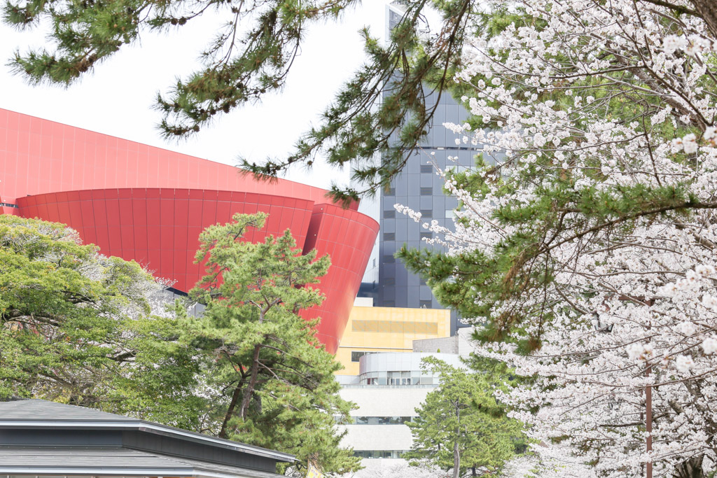 小倉城　桜の写真23