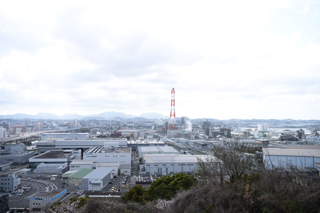 黒崎城跡　桜の写真7