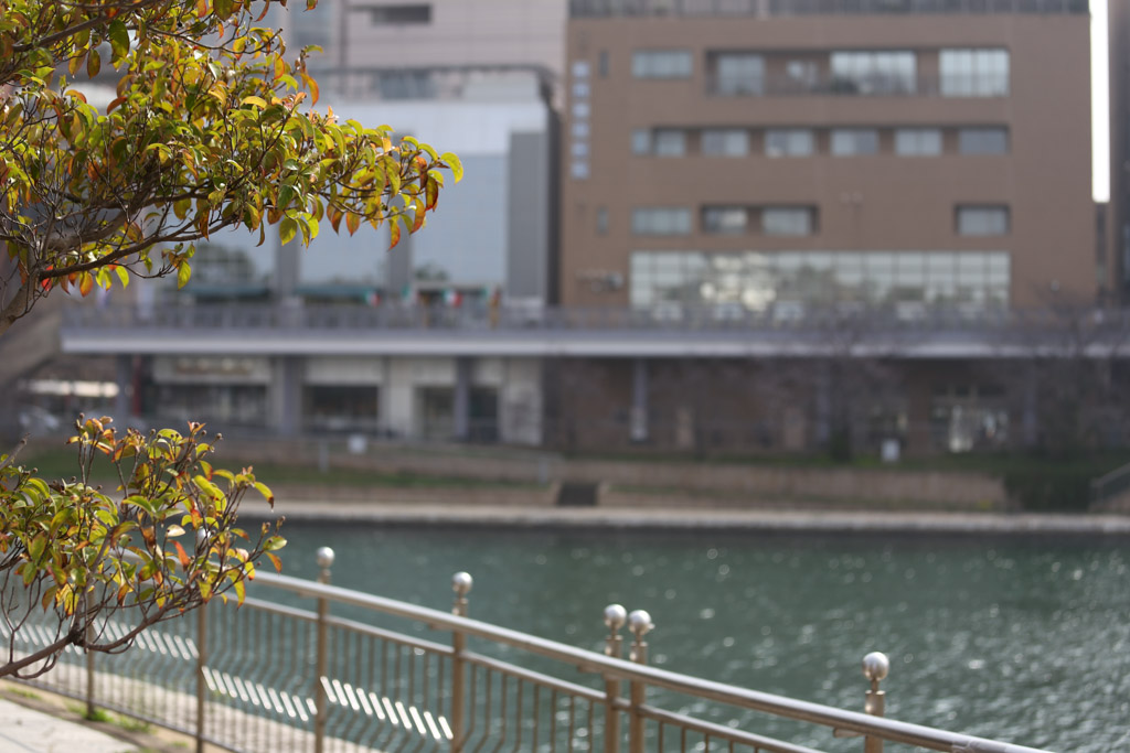 紫川　橋1の写真12