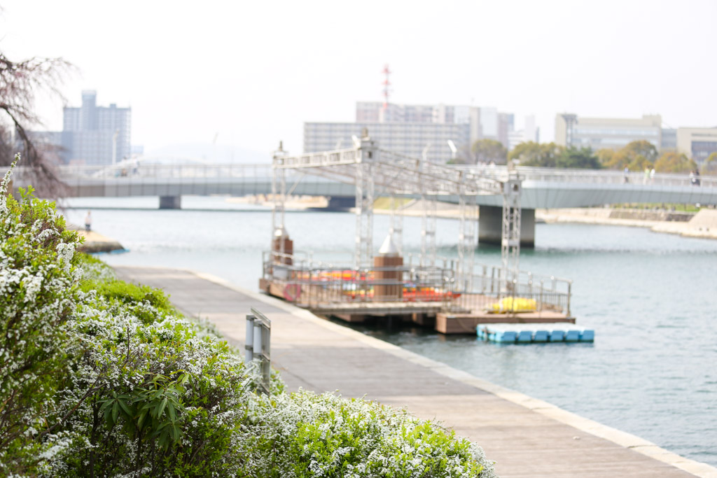 紫川　橋1の写真21