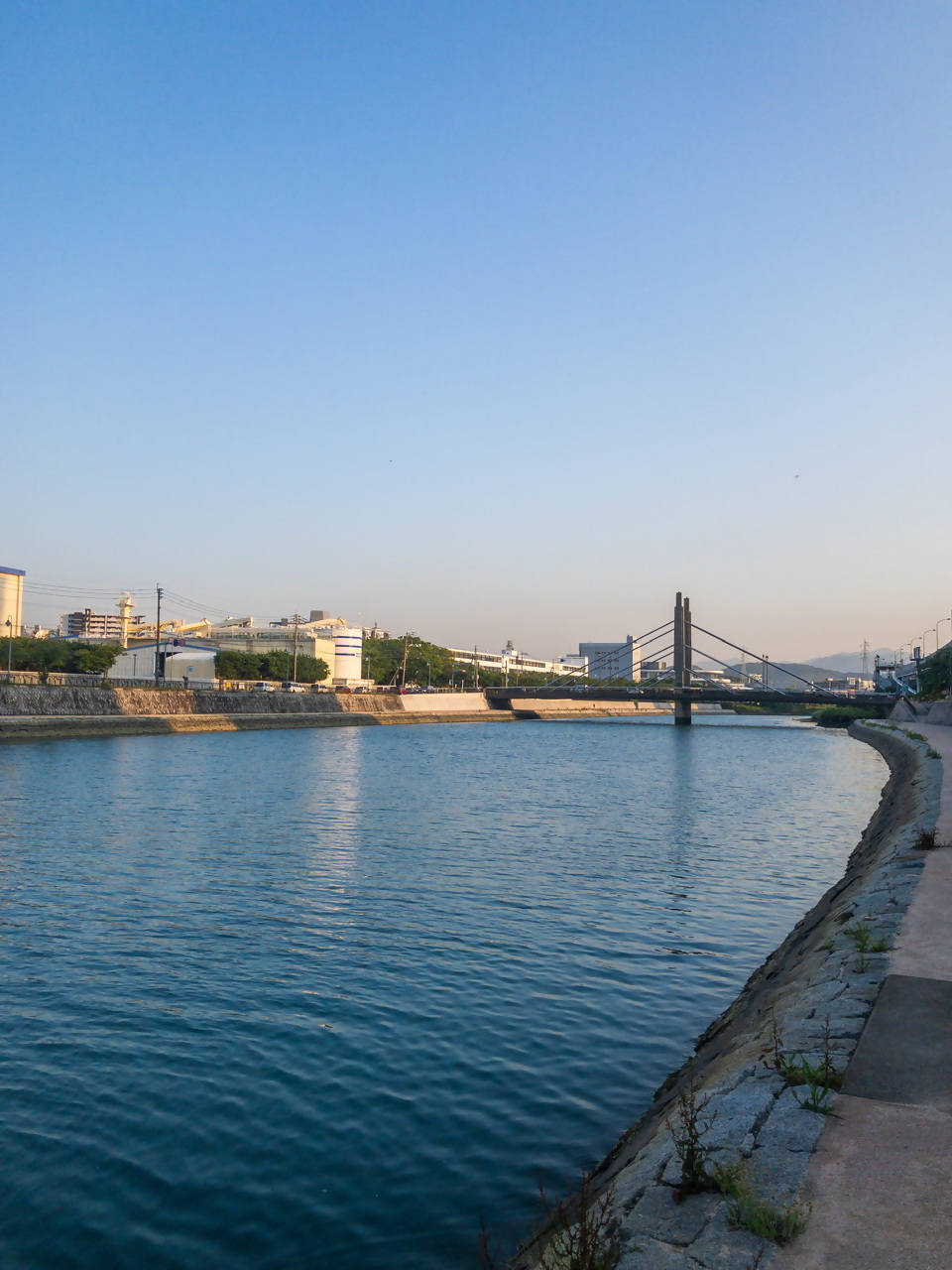 紫川　橋2の写真6