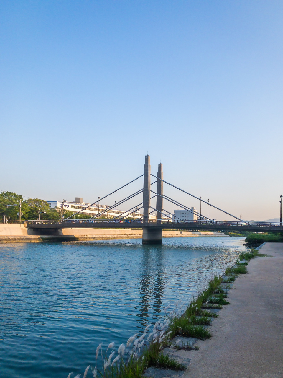 紫川　橋2の写真7