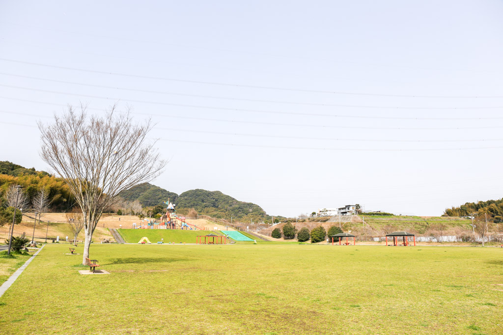 長野緑地の写真15