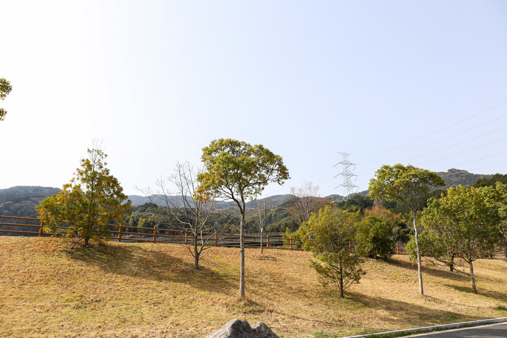 長野緑地の写真2