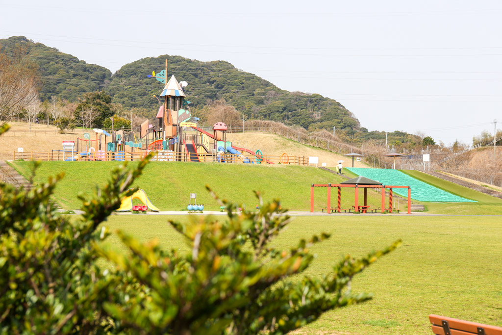 長野緑地の写真5