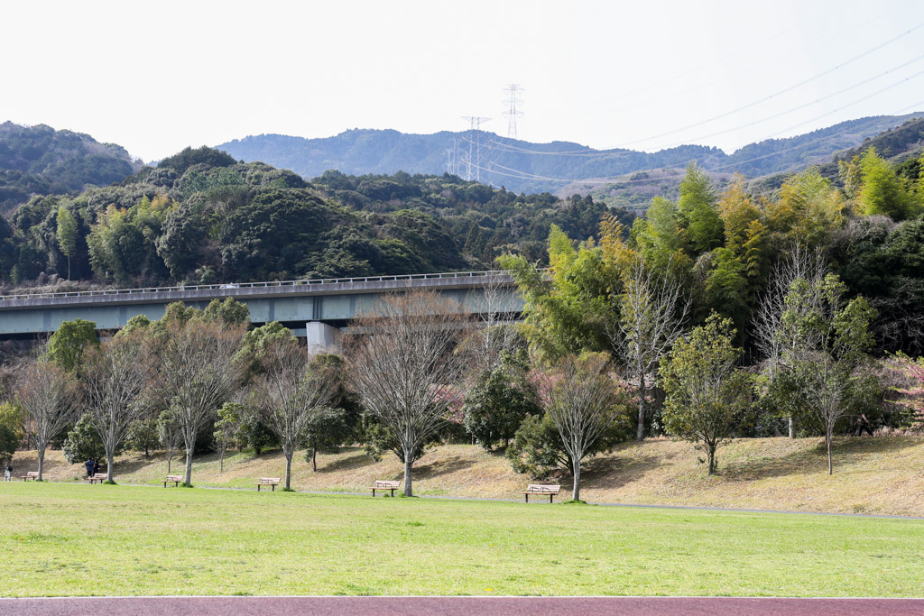 長野緑地の写真7