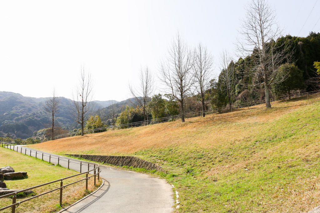 長野緑地の写真10