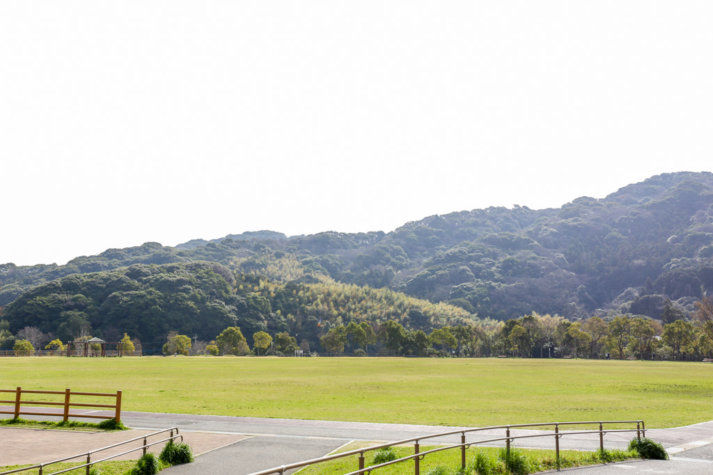 長野緑地の写真13