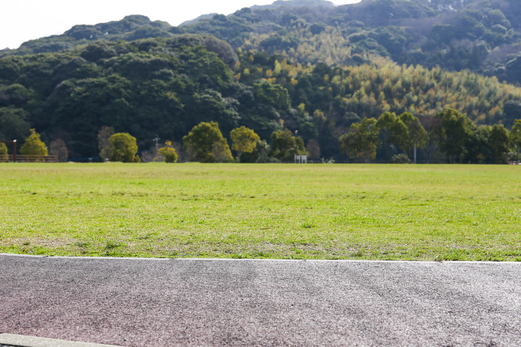 長野緑地の写真14