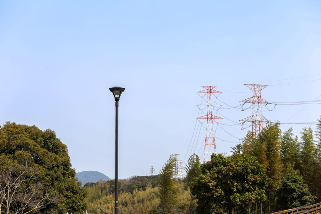 長野緑地の写真19