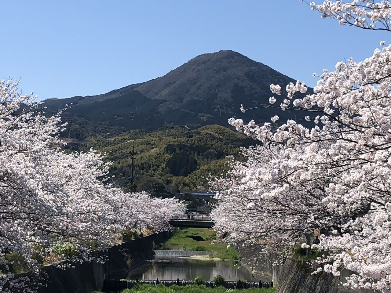 貫山の写真3