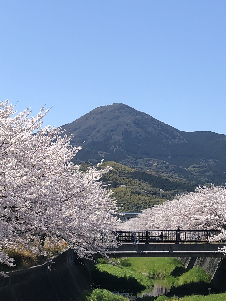 貫山の写真2