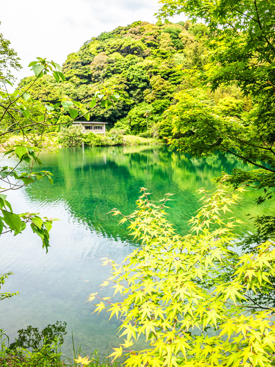 お糸の池の写真2
