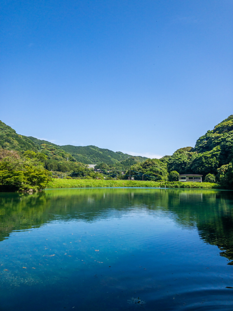 お糸の池の写真5