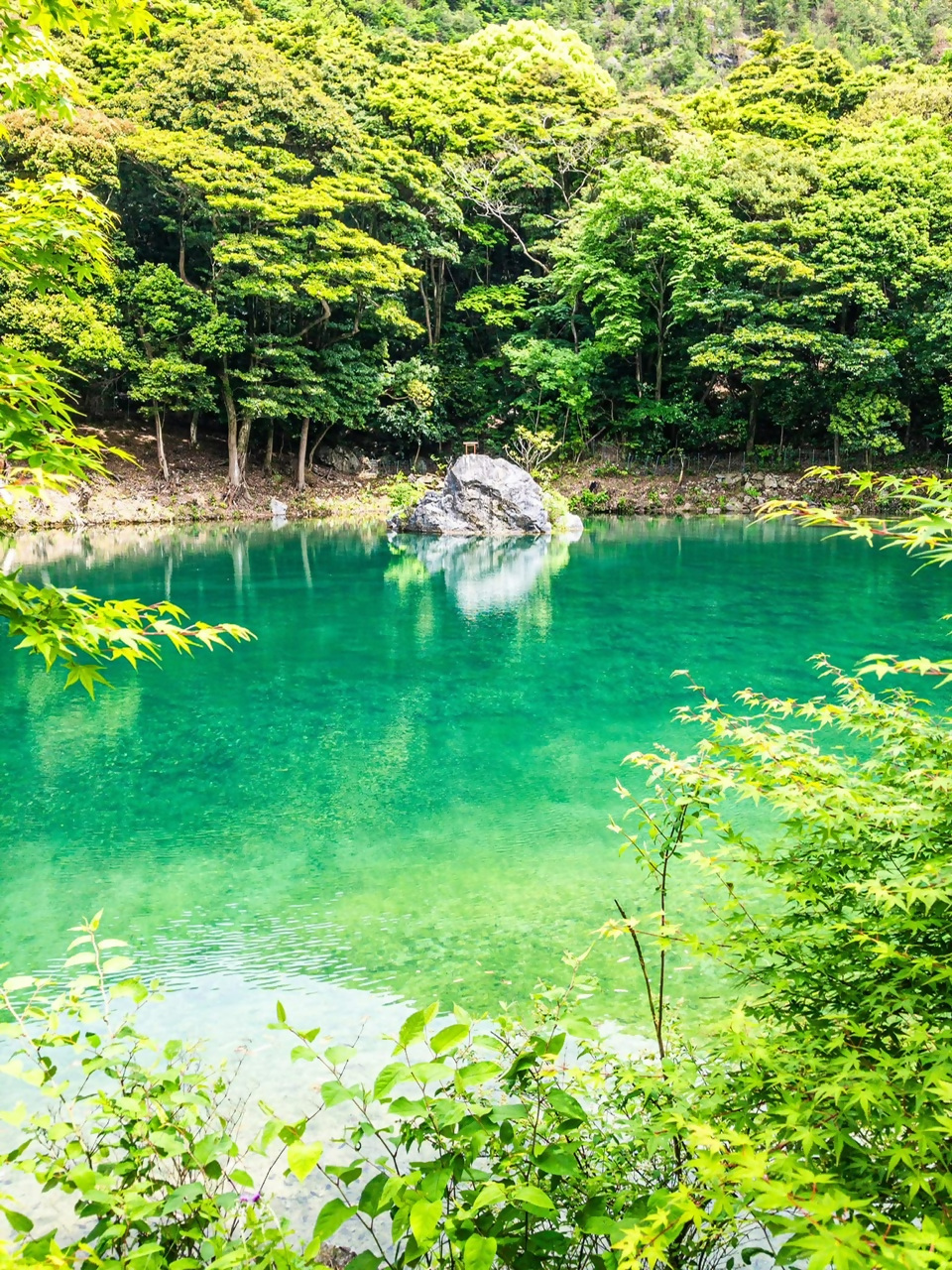 お糸の池の写真1