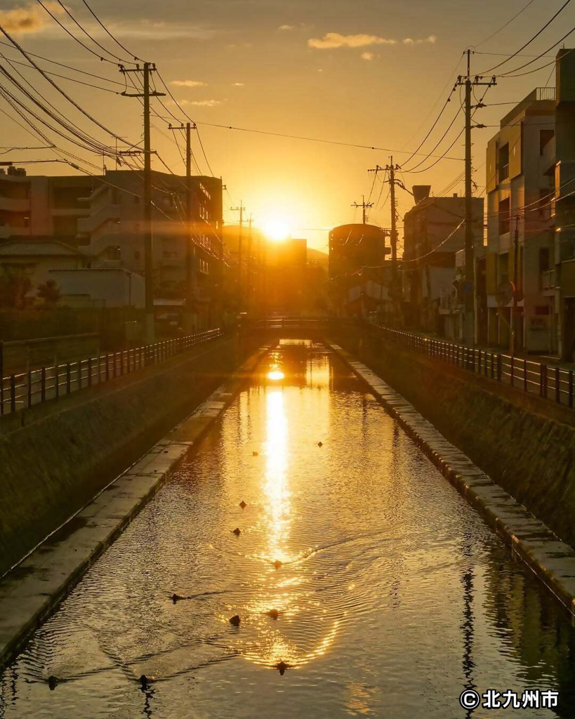 フォトコンテスト作品の写真6