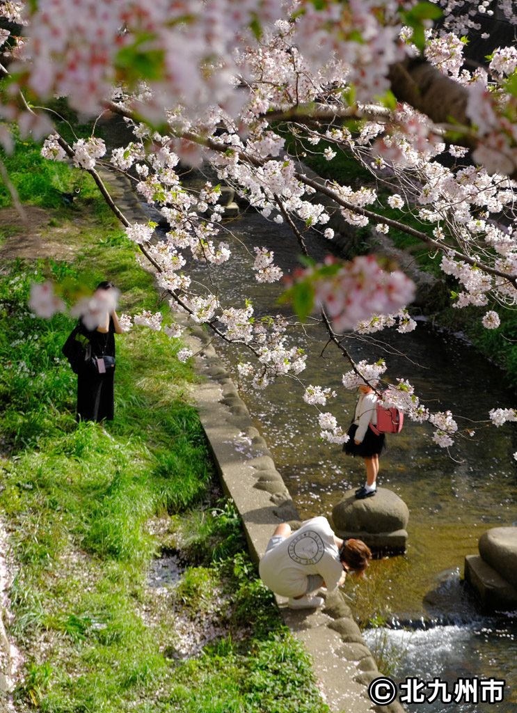 フォトコンテスト作品の写真14