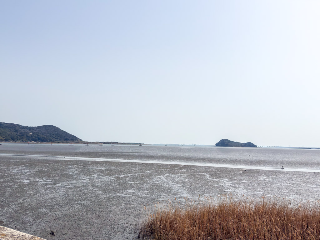 曽根東臨海スポーツ公園の写真2