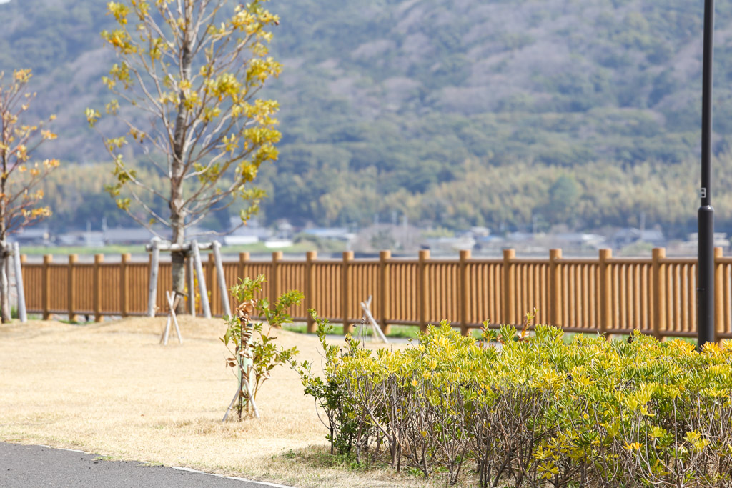 曽根東臨海スポーツ公園の写真5