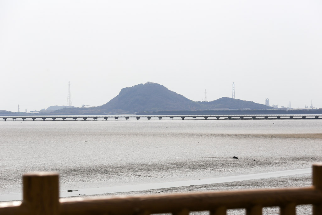 曽根東臨海スポーツ公園の写真7