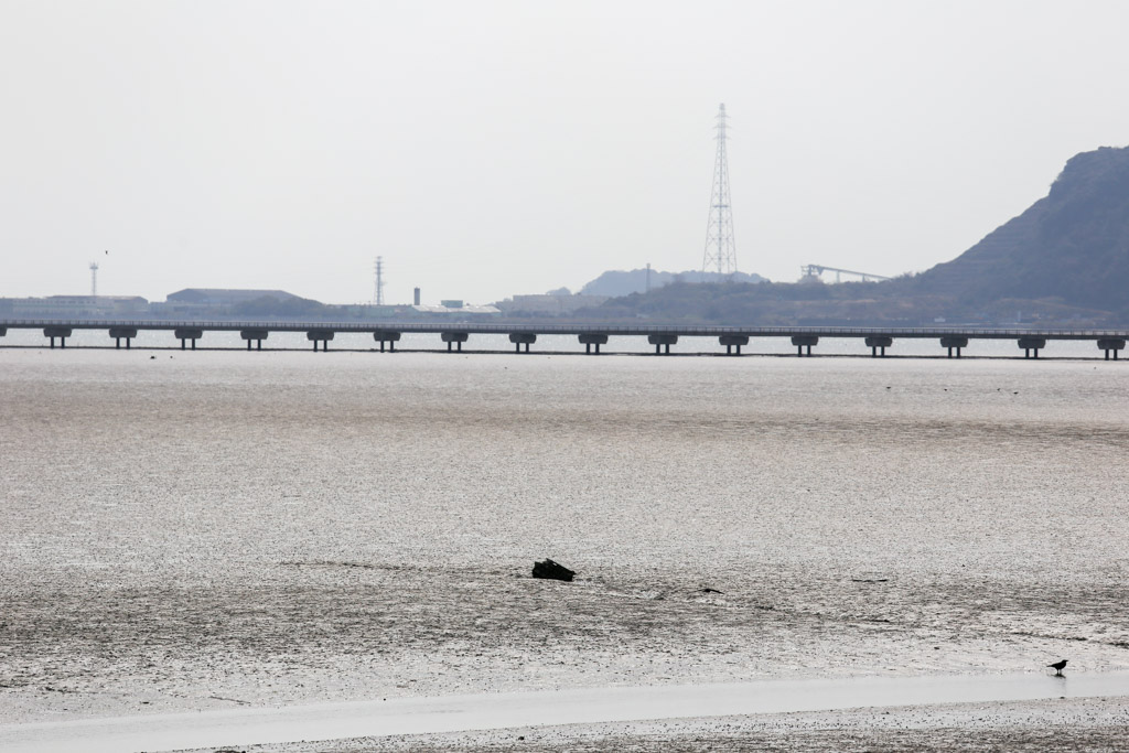 曽根東臨海スポーツ公園の写真14