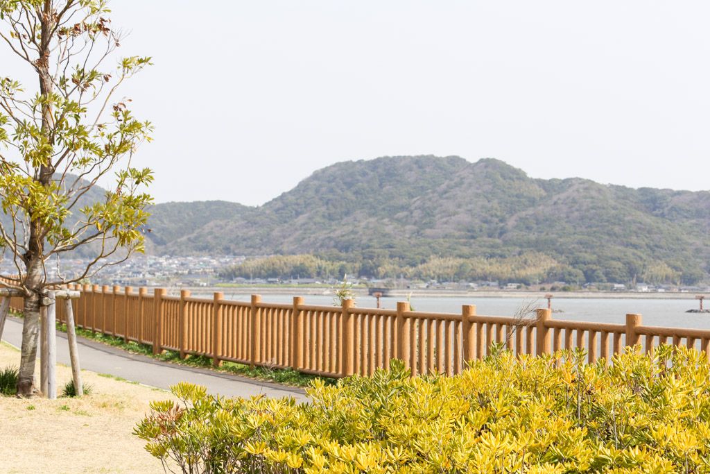 曽根東臨海スポーツ公園の写真18