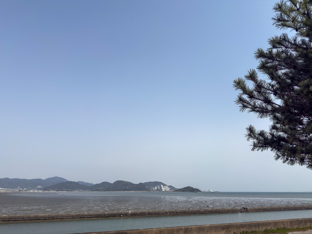 曽根干潟1の写真1