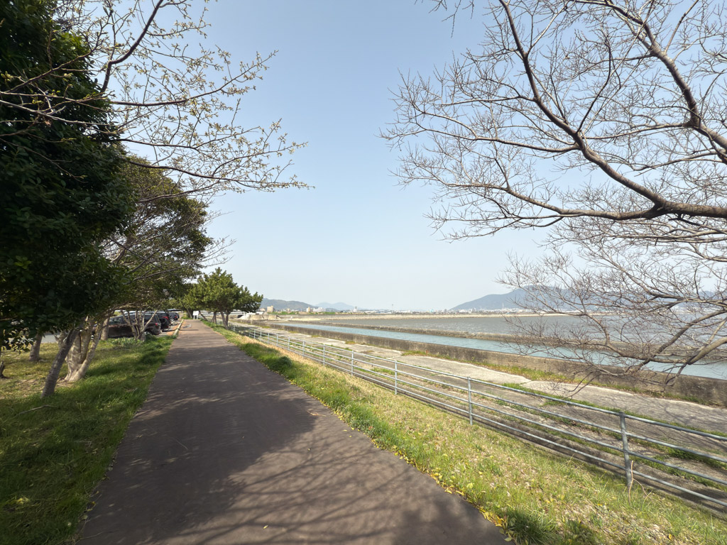 曽根干潟1の写真4