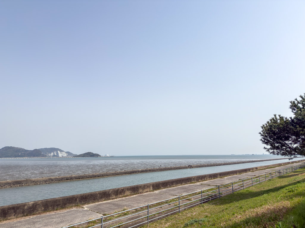 曽根干潟1の写真6