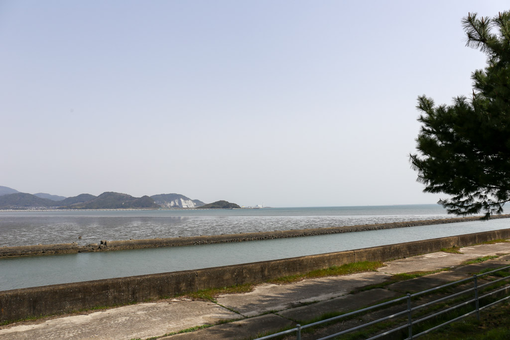 曽根干潟1の写真15