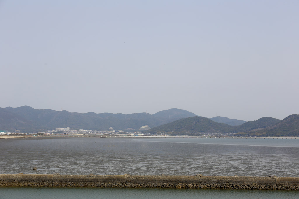 曽根干潟1の写真29