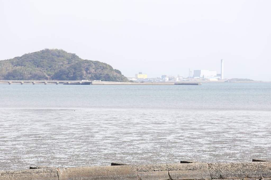 曽根干潟1の写真33