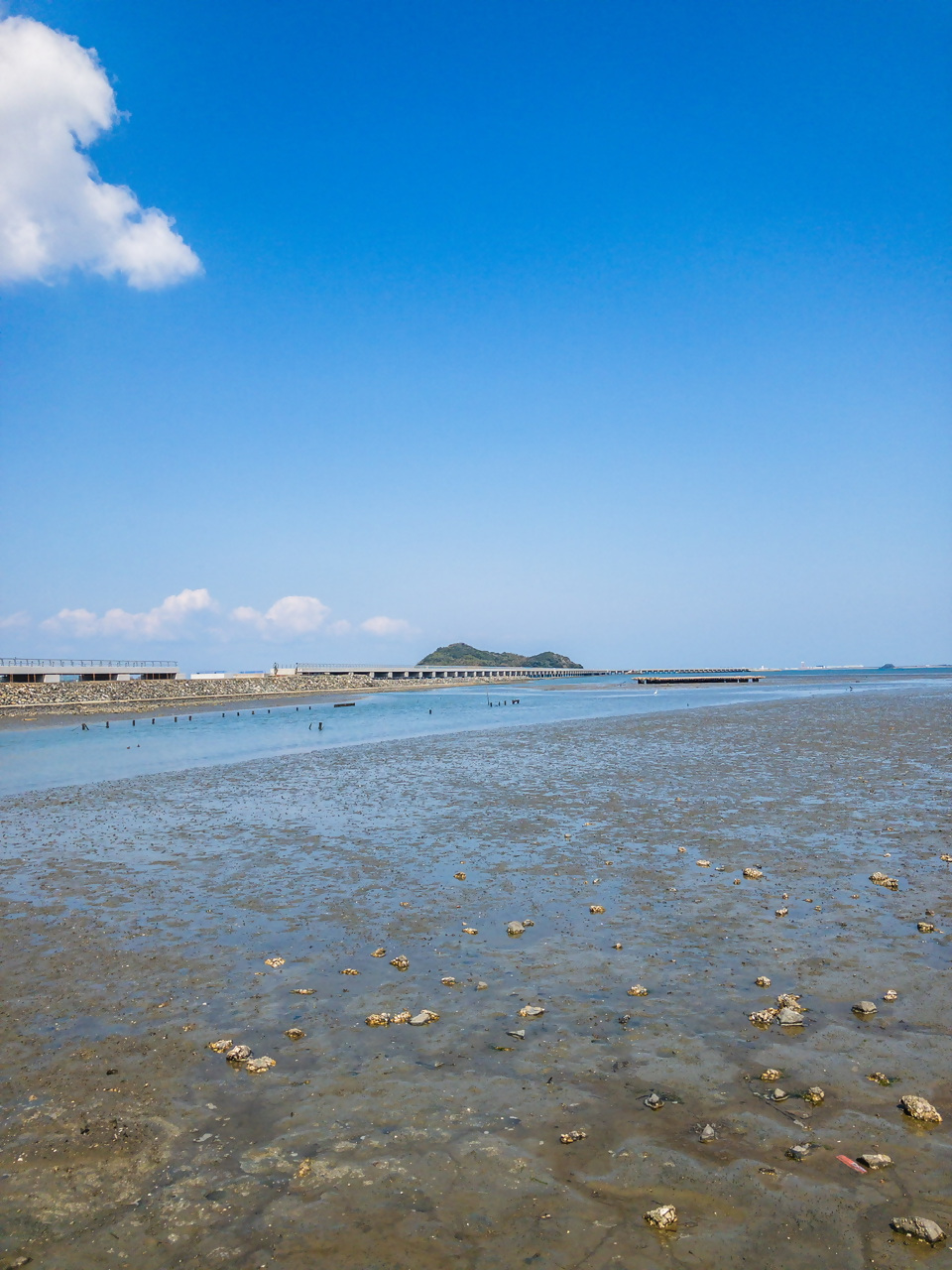 曽根干潟2の写真17