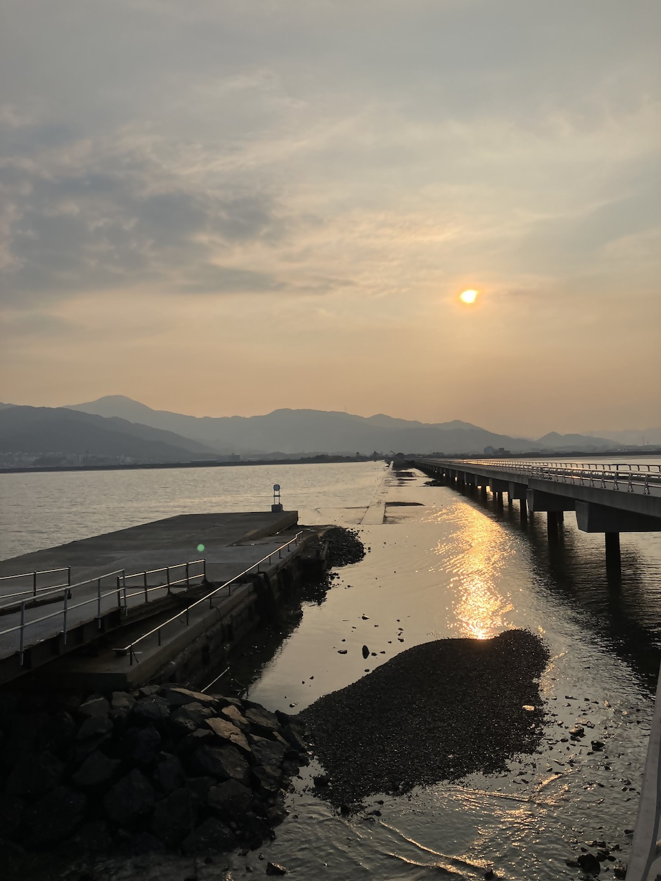 曽根干潟2の写真26