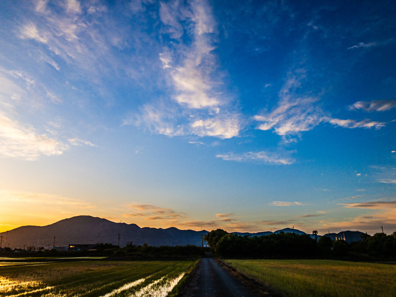 曽根新田の写真7