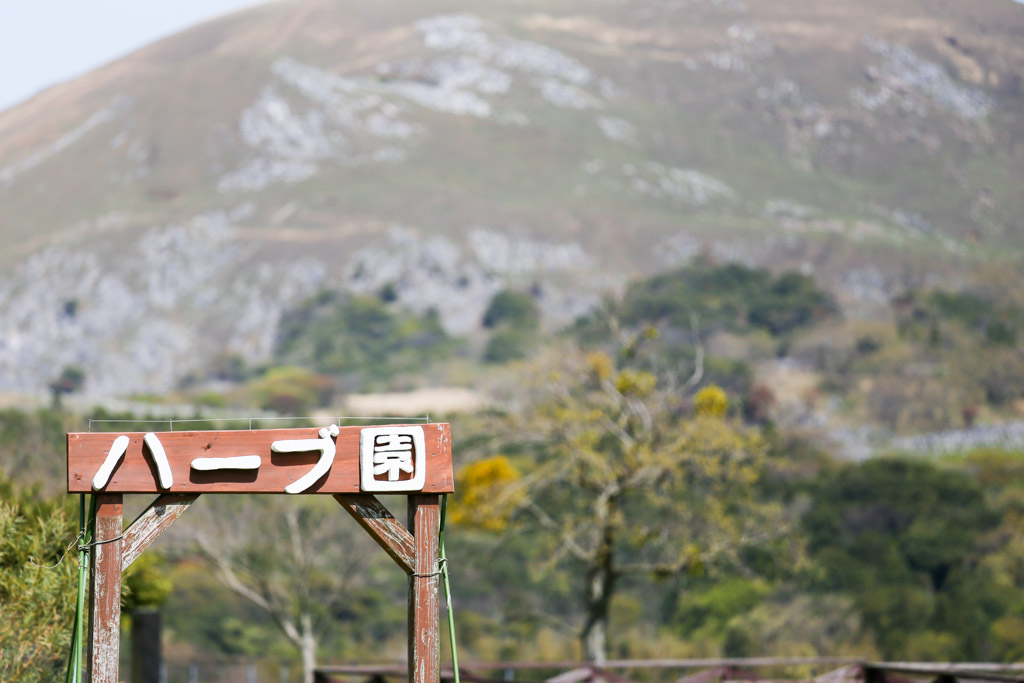 ソラランド平尾台　平尾台自然の郷の写真37