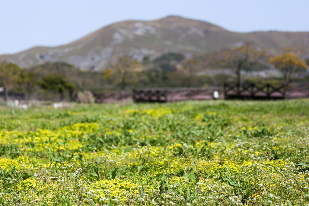 ソラランド平尾台　平尾台自然の郷の写真38