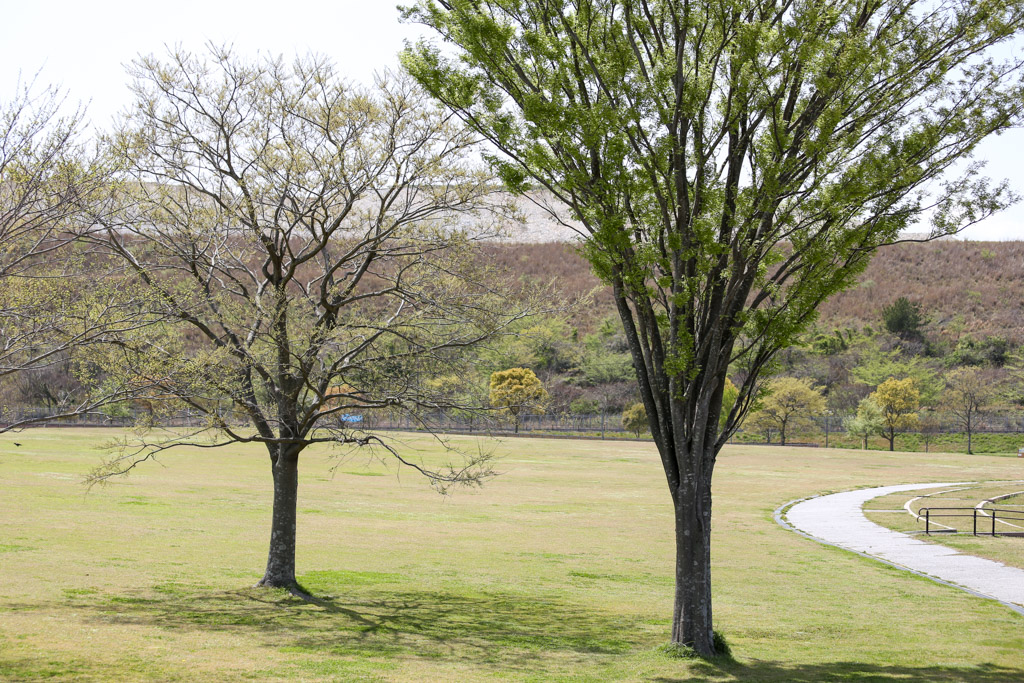 ソラランド平尾台　平尾台自然の郷の写真54
