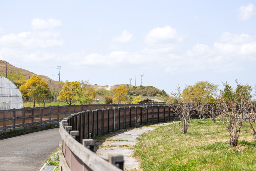 ソラランド平尾台　平尾台自然の郷の写真67